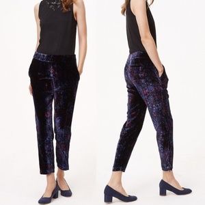 Anne Taylor Loft Velvet Pants